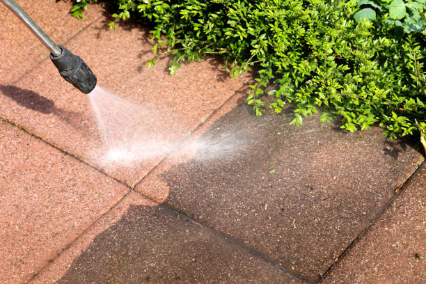 Best Power Washing Near Me  in Bridgeview, IL